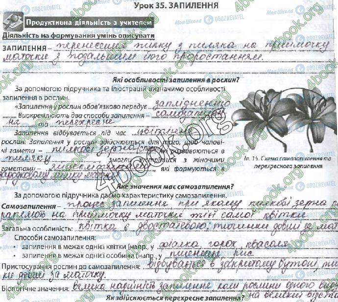 ГДЗ Биология 6 класс страница Стр.56 (1)